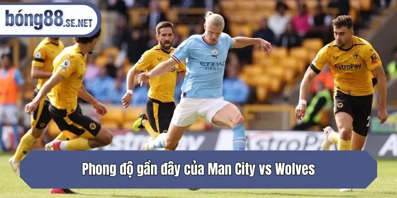 Phong độ gần đây của Man City vs Wolves