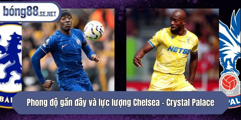 Phong độ gần đây và lực lượng Chelsea - Crystal Palace